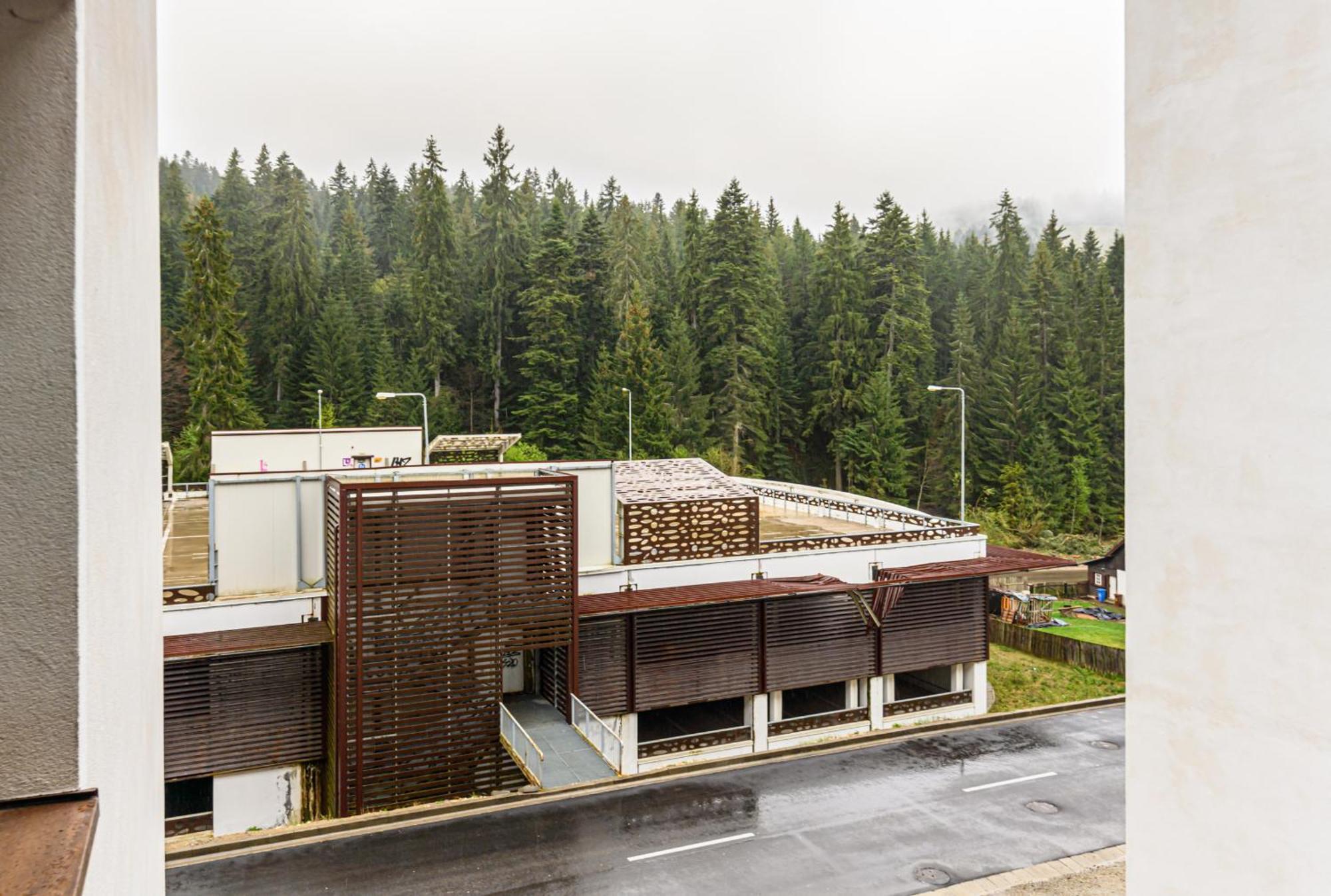 Alpin Clabucet Studio 普雷代亚尔 外观 照片